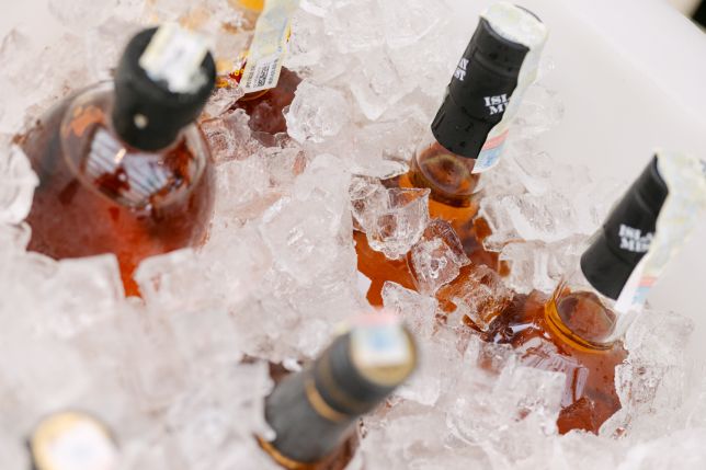 EVENIMENT STG - ALEC BRADLEY EXPERIENCE TIMISOARA