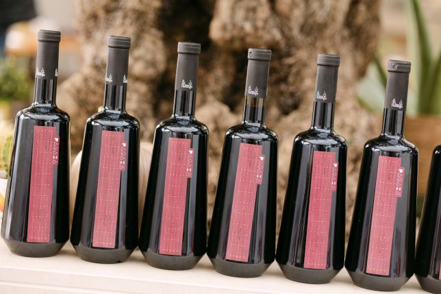 EVENIMENT STG - ALEC BRADLEY EXPERIENCE TIMISOARA