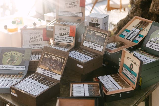 EVENIMENT STG - ALEC BRADLEY EXPERIENCE TIMISOARA