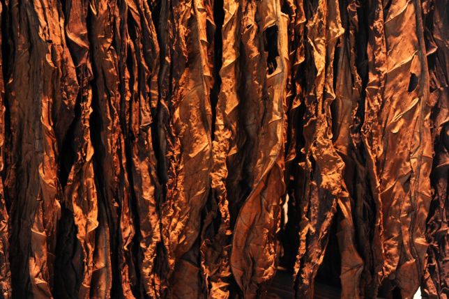 Toscano a fost recunoscută ca „marcă istorică” în Italia