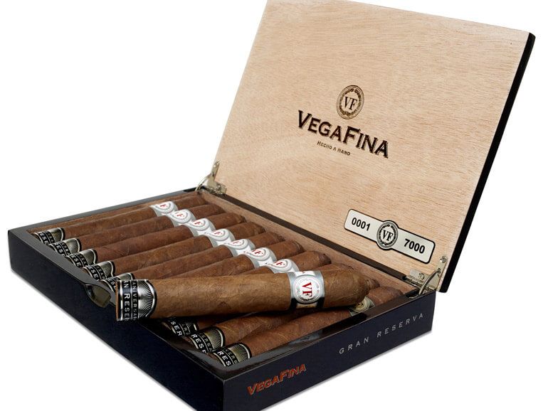 Vega Fina Gran Reserva 2019 (10)