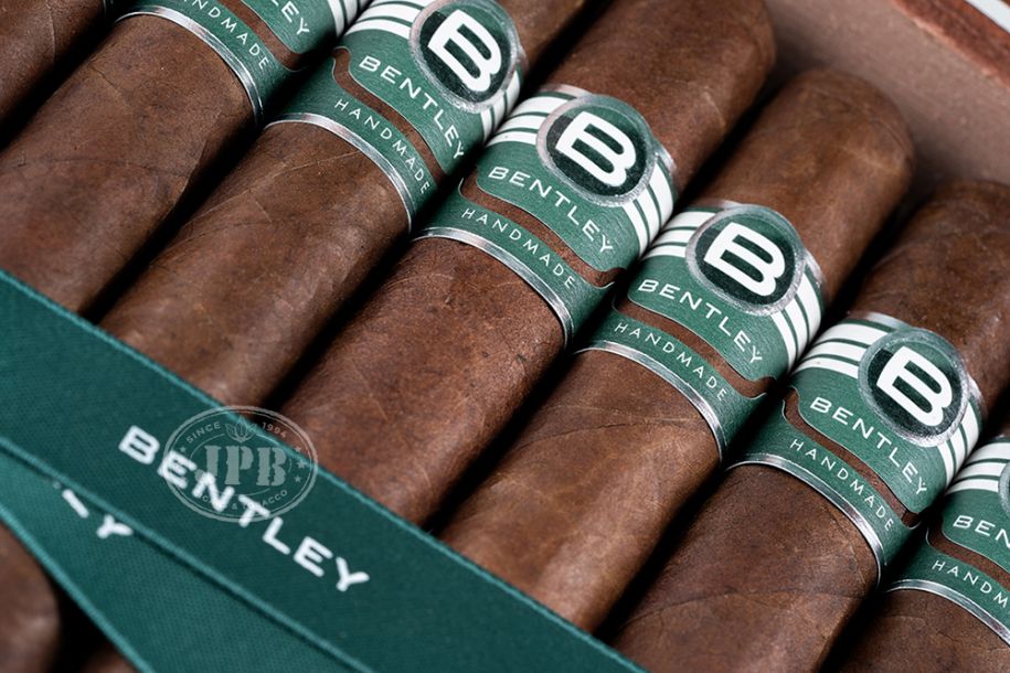 BENTLEY ROBUSTO (20)