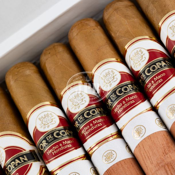 Flor de Copan Classic Corona (20)