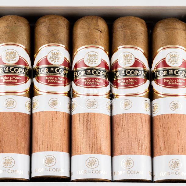 Flor de Copan Classic Short Magnum (20)  