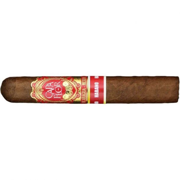 CAPA FLOR ROBUSTO HABANO (1) 