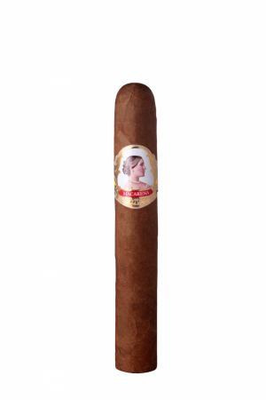 Macarena BIG Robusto Bundle (10)