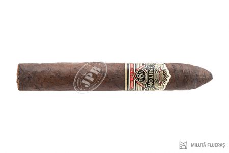 ASHTON VSG BELICOSO NO 1 (1)