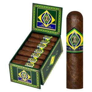 CAO Brazilia Corcovado (20)