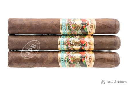 PARADISO QUINTESSENCE ROBUSTO (3)