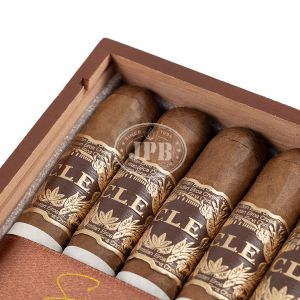 CLE Signature Robusto Cameroon de Jamastran (25)