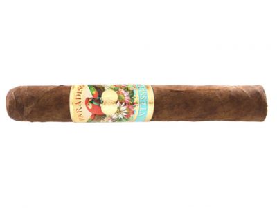 PARADISO QUINTESSENCE ROBUSTO (1)