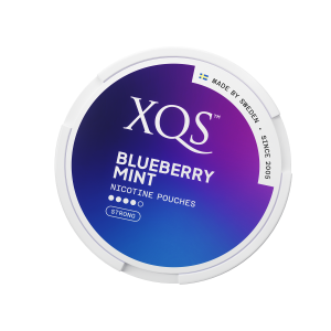 Plicuri cu nicotina XQS Blueberry Mint / nicotina 8 mg (20)