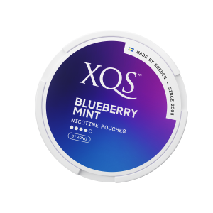 Nicotine pouches XQS Blueberry Mint / nicotina 8 mg (20)