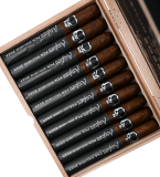 ASYLUM  LIMITADA 2025 (10)