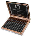 ASYLUM  LIMITADA 2025 (10)