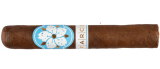 ROOM101 Farce Nicaragua Gordo 6 x 60 (1)